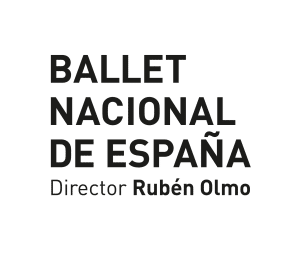 RO 3 LineasDirector Negro 300x255 1