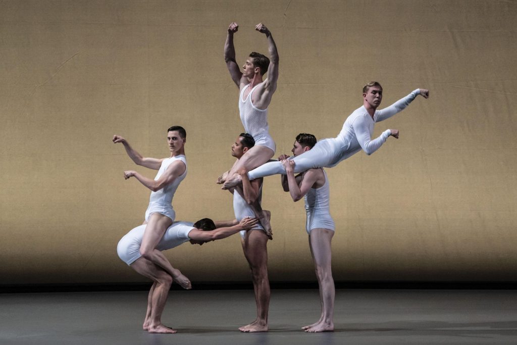 DB Gala image scaled 1