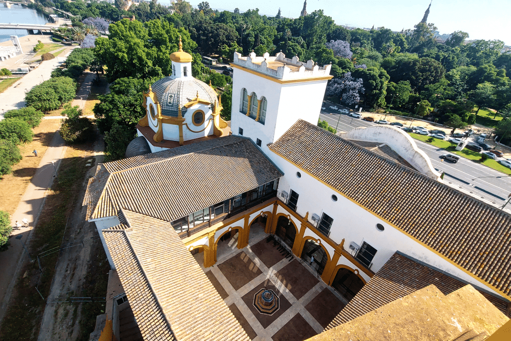 Antonio Ruiz Soler11