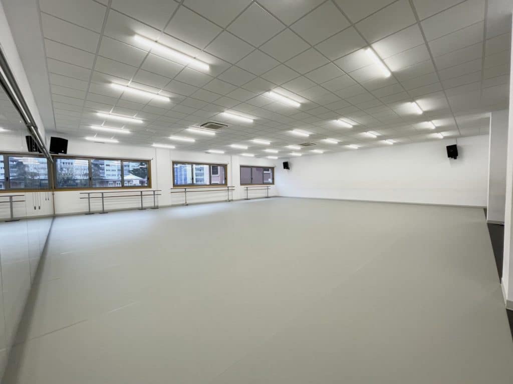 Dantzagunea sala 1024x768 1