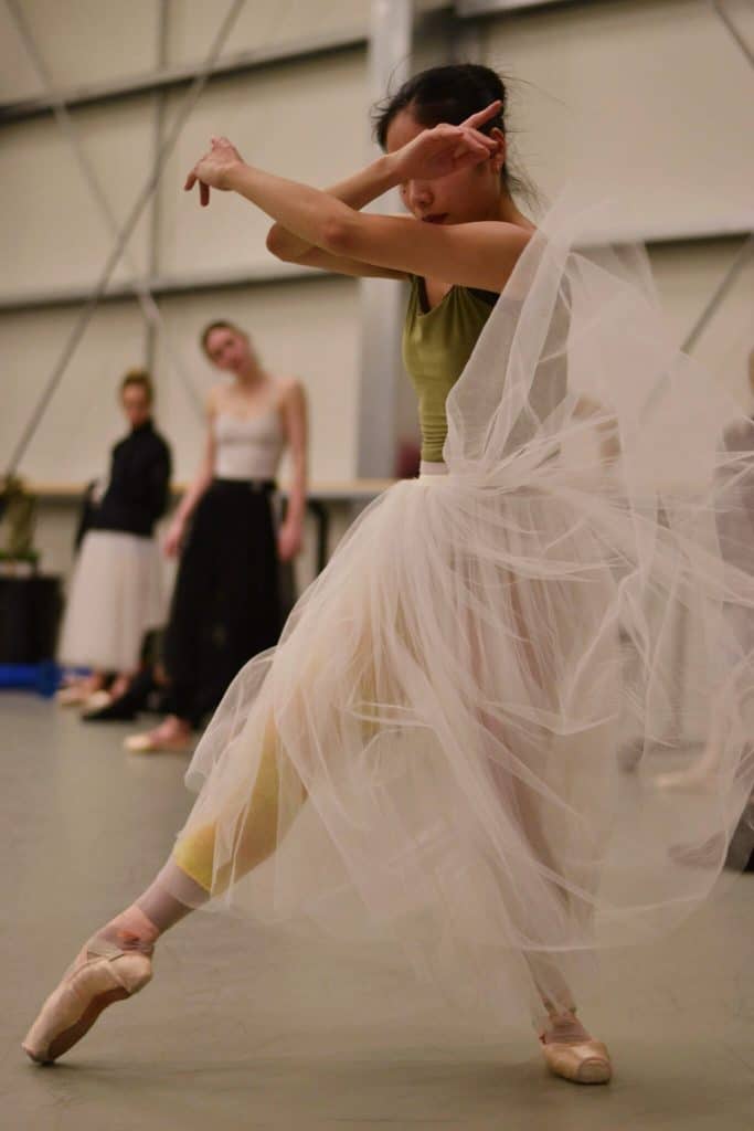 Harlequin Floors For The Royal New Zealand Ballet | Harlequin Floors