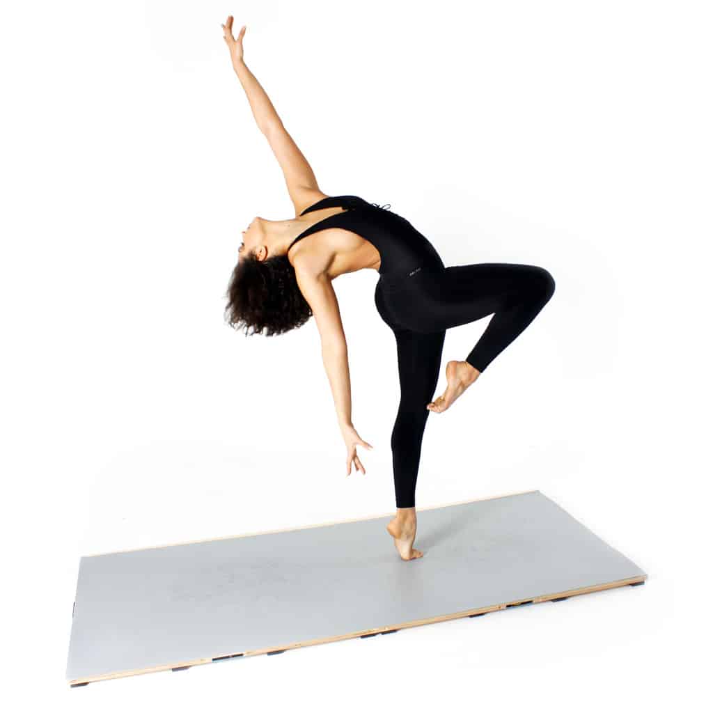 Harlequin Home Practice Dance Studio Kit