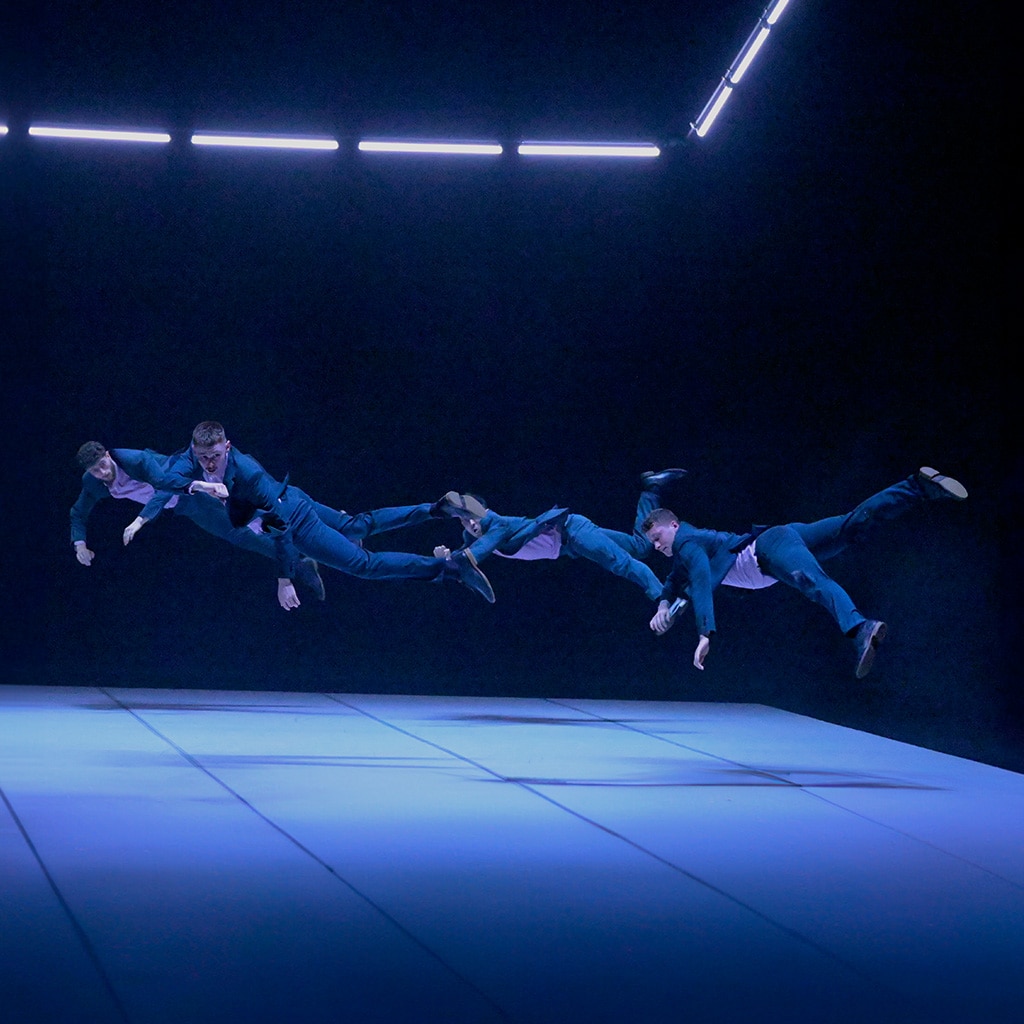 Harlequin Reversible