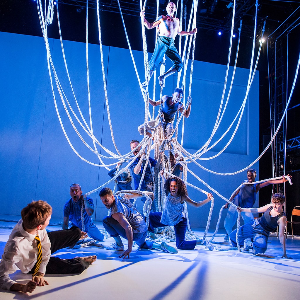 Harlequin Reversible Pro