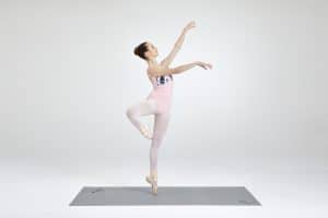 Harlequin 2020 021 1 300x200 1