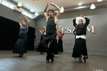 harlequin floors ESAEM An International School for Emerging Performing Artists 1 1