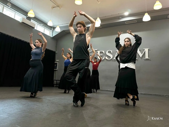 harlequin floors ESAEM An International School for Emerging Performing Artists 1 1