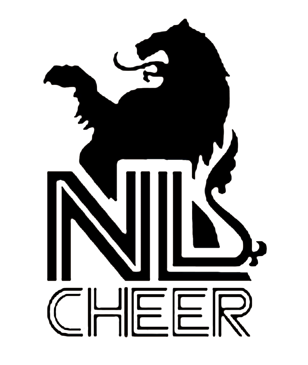  Stichting Team Cheerleading Nederland