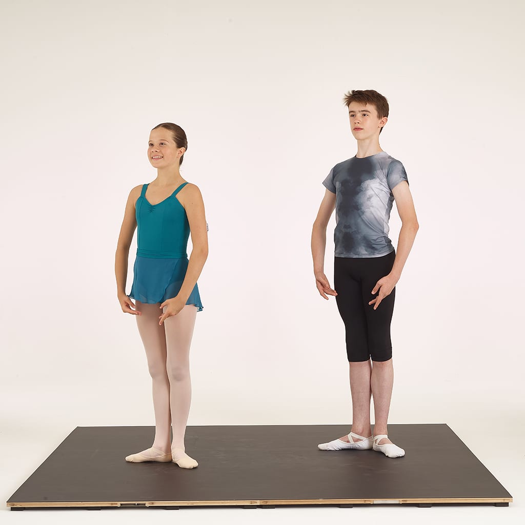 Harlequin Floors Home Practice Dance Studio Kit