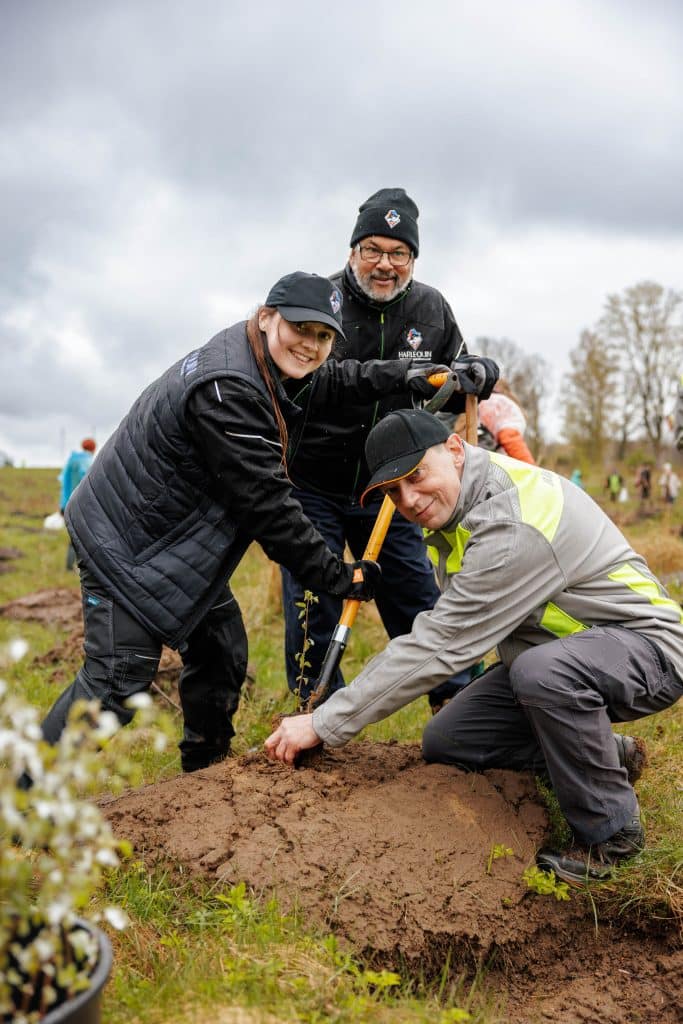 Sustainability Blog Trees 3 2