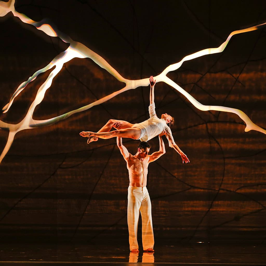 Claridad de arlequín