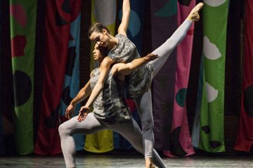Harlequin Duo1