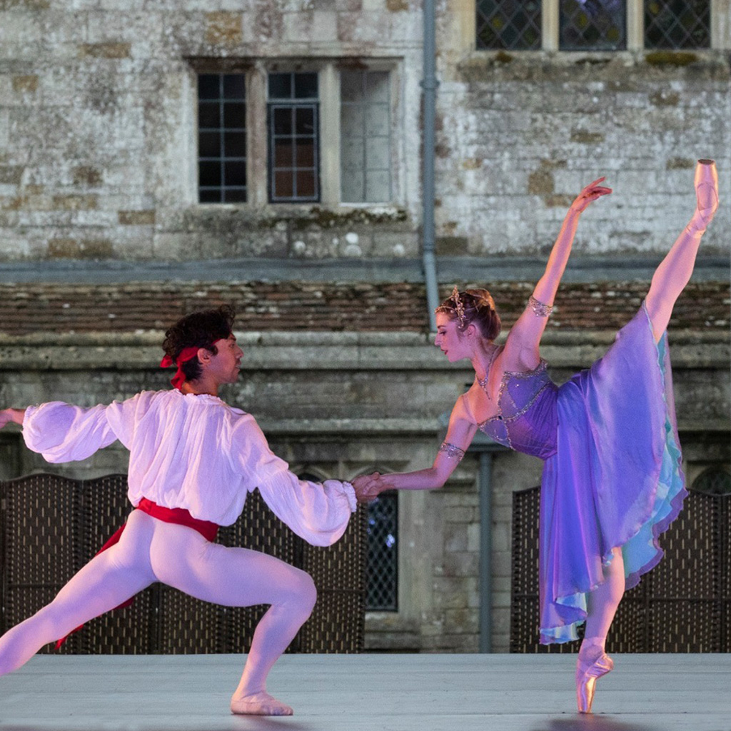 Dance Floor Sectors | Harlequin Floors