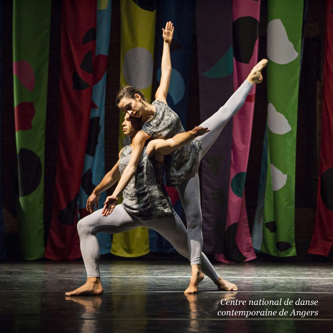 250311 HAR Post6 Harlequin Duo 26