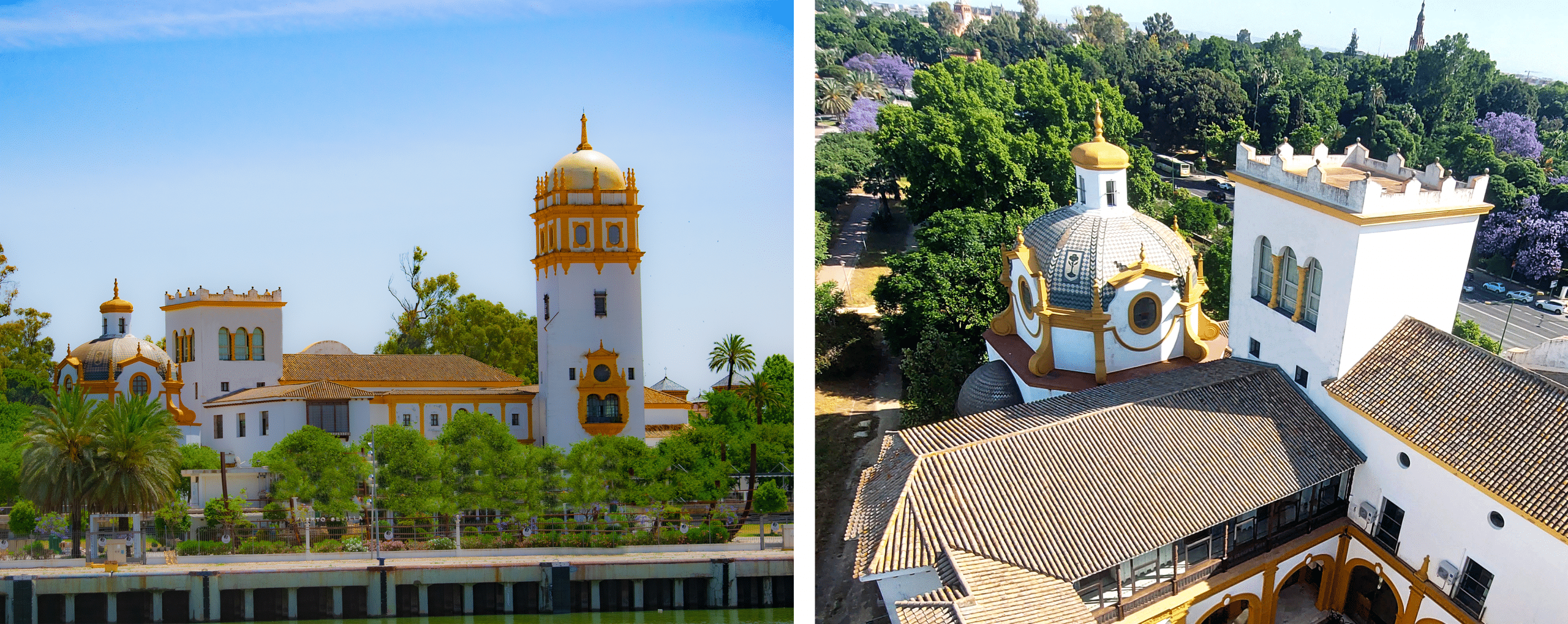 Antonio Ruiz Soler collage