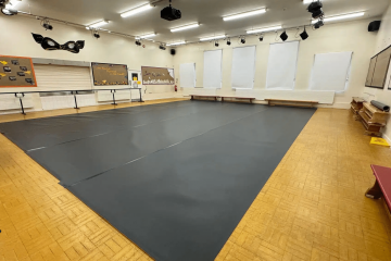 Les tapis de danse Harlequin: une longévité exceptionnelle !