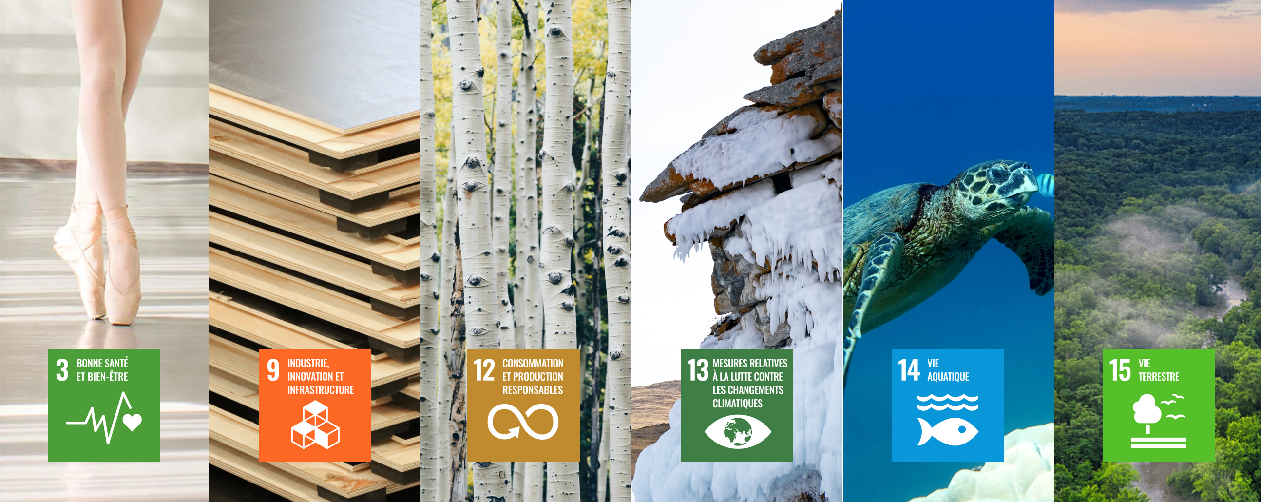 01092025 HAR 6objectifs ONU