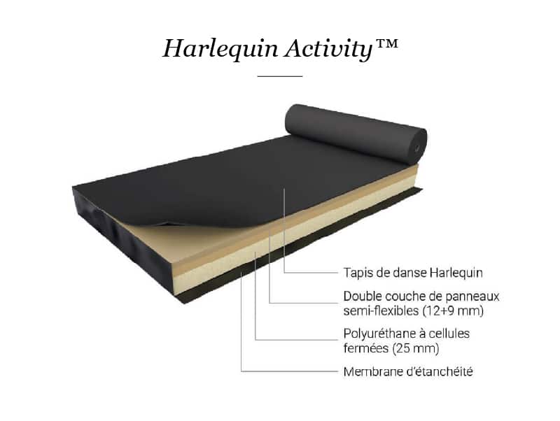 300701 HAR Activity Tapis