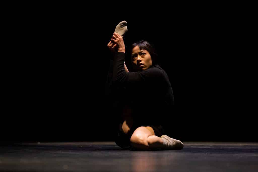 image10harlequin 1024x682 1