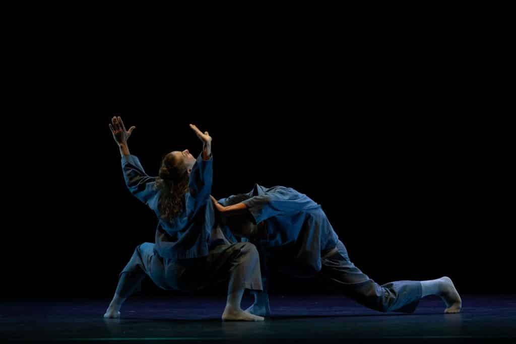 image13harlequin 1024x683 1