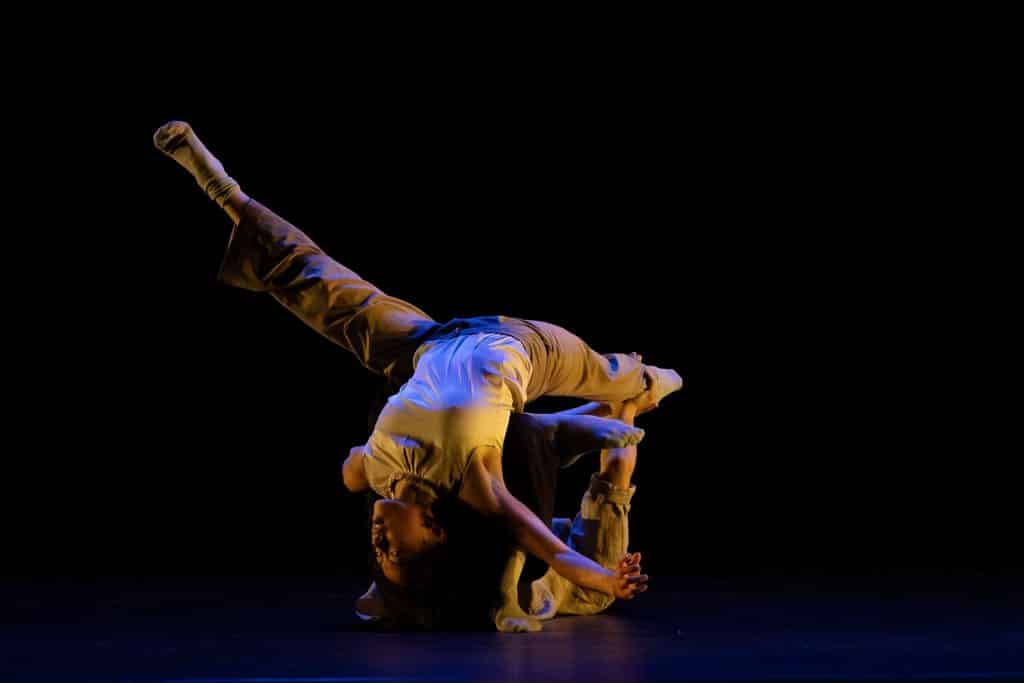 image14harlequin 1024x683 1