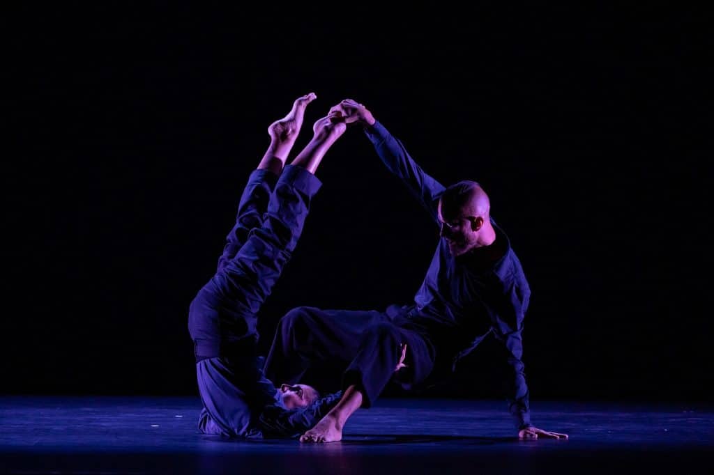 image9harlequin 1024x682 1