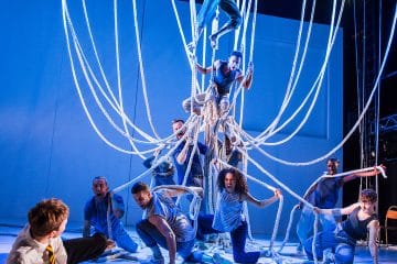 Harlequin Reversible Pro