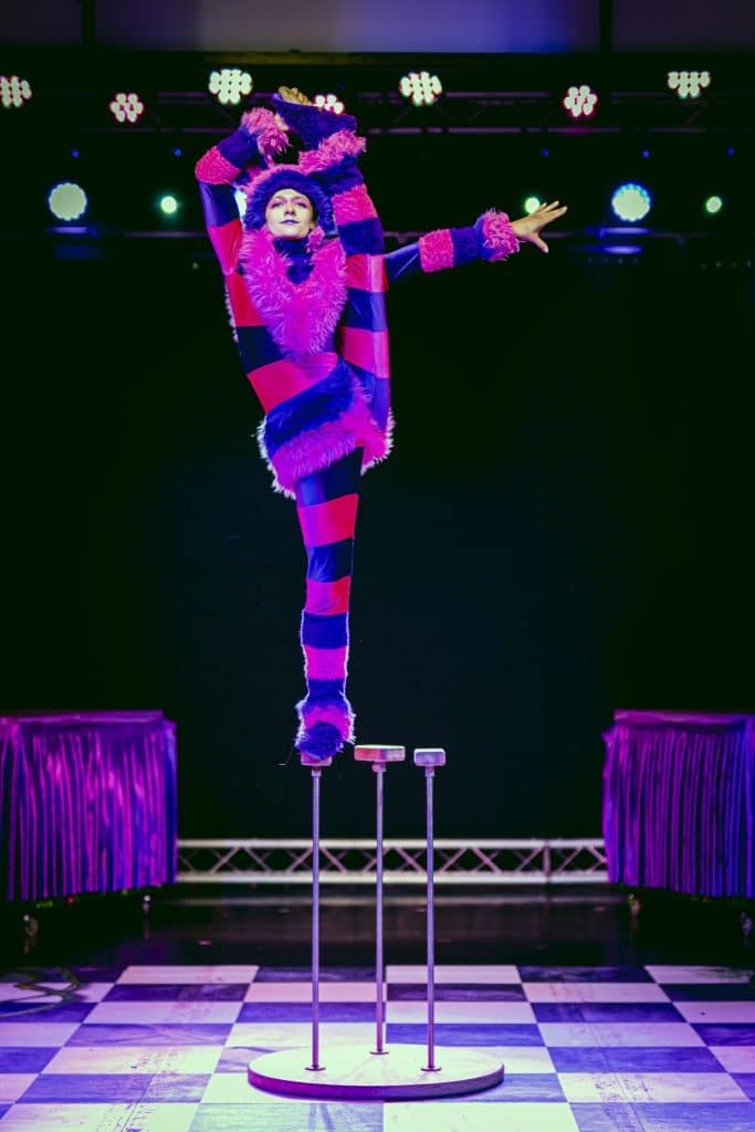 Mad Hatters Circus Tag Live 5 683x1024 1