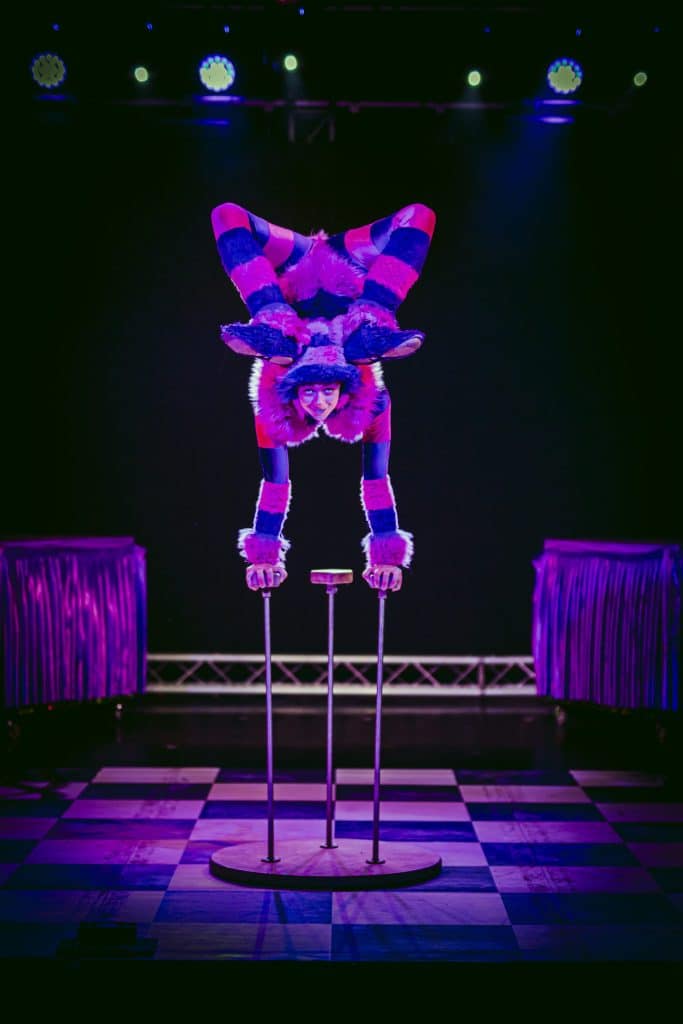 Mad Hatters Circus Tag Live 6 683x1024 1