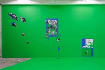 Felicity Hammond Remains in Development © Tomas Uytendaelle 29