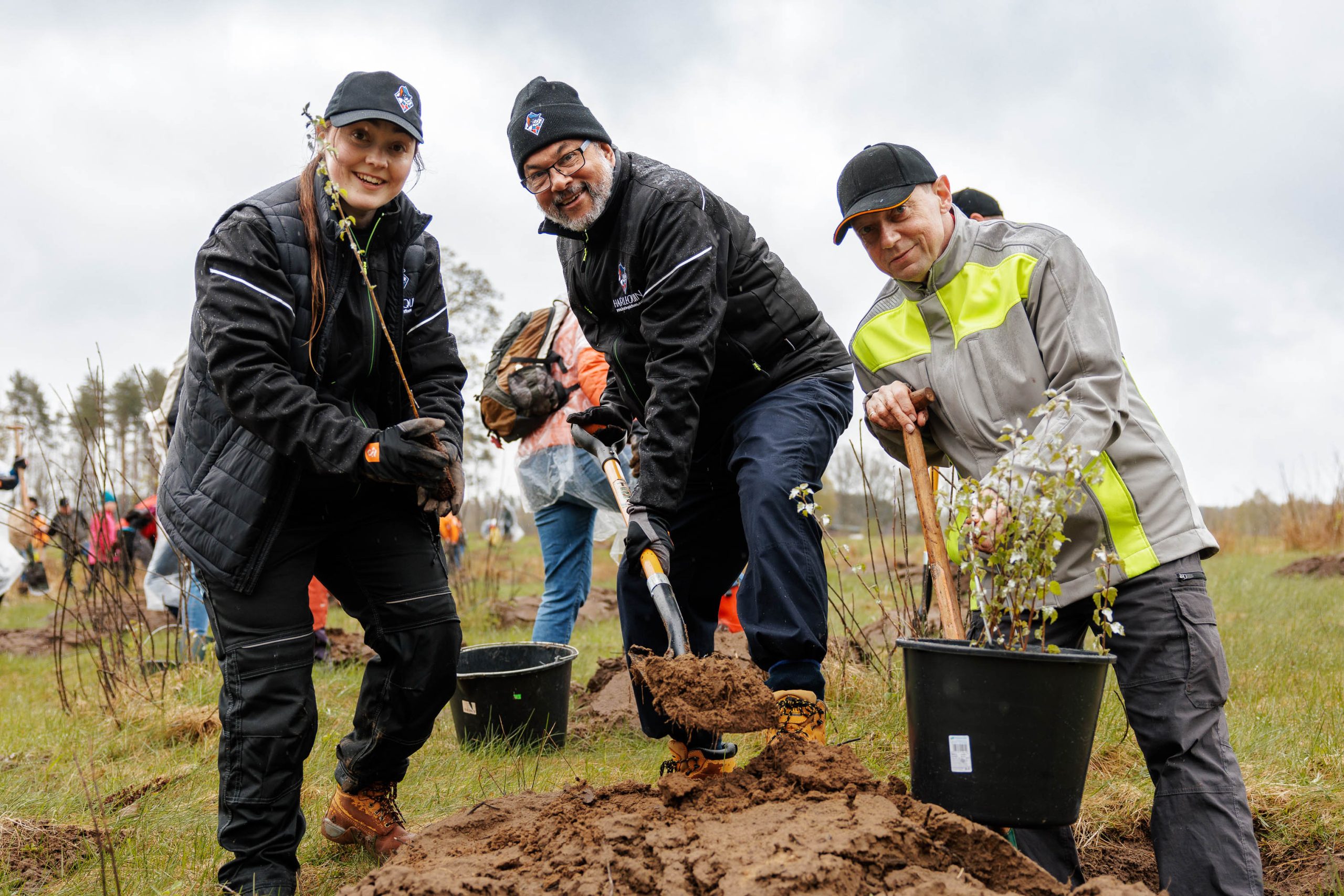 Sustainability Blog Trees 4 scaled