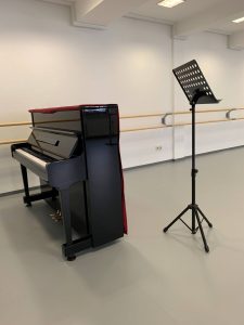 Stage and Musical Academy Frankfurt