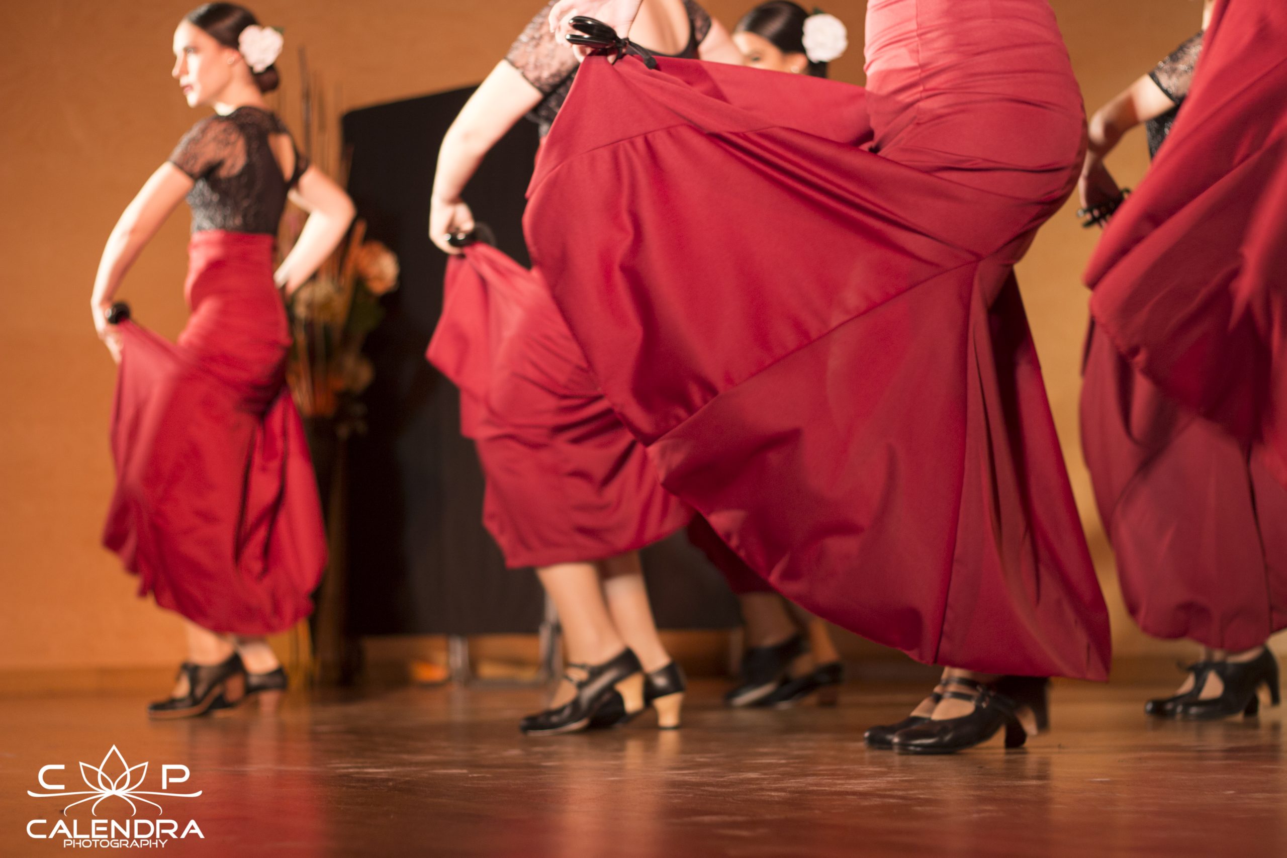 Professional Dance Conservatory “Luis del Río”