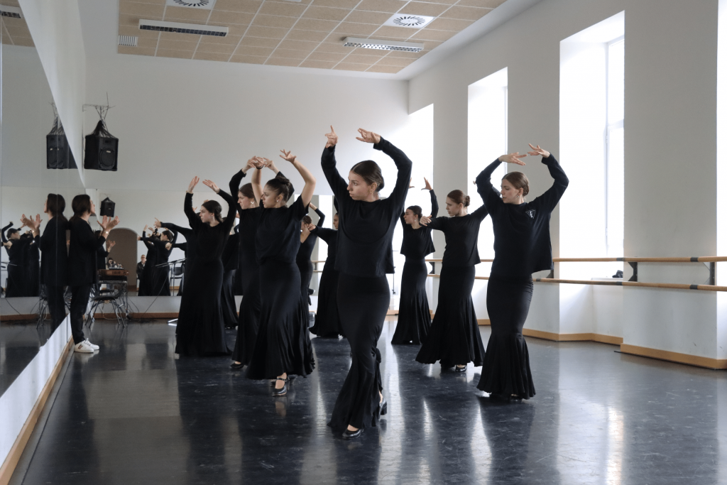 Real Conservatorio Profesional De Danza Mariemma Madrid14